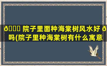 🐝 院子里面种海棠树风水好 🍀 吗(院子里种海棠树有什么寓意)